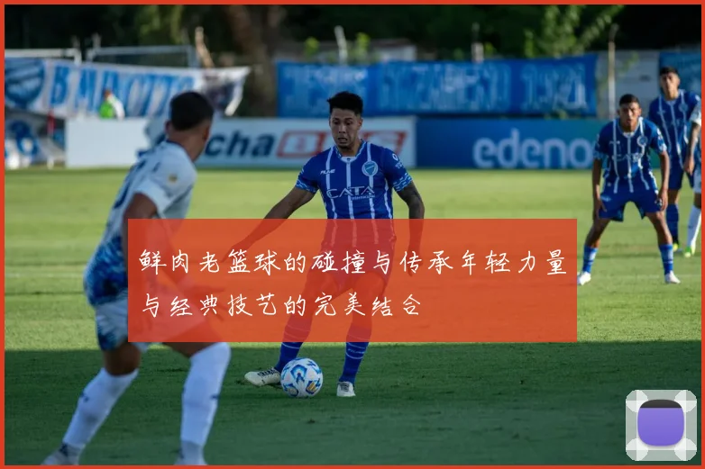 鲜肉老篮球的碰撞与传承年轻力量与经典技艺的完美结合