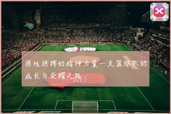 团结拼搏的精神力量一支篮球队的成长与荣耀之路