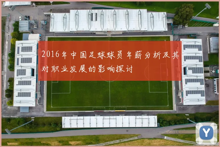 2016年中国足球球员年薪分析及其对职业发展的影响探讨